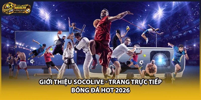 Giới Thiệu Socolive - Trang Trực Tiếp Bóng Đá Hot 2026